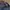 Tommy hilfiger jeans second brand not stussy bape carhartt photo 6