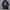 hodie gu x studio seven photo 1