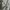brillo de la perla faux two-piece lace trim top photo 3