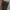 Field Core Urban Work Wear Cargo Pants Bekas Not Carhatt