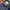 Laroom Banggy Jeans photo 7