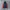 MLB spellout "YANKEES" Varsity Jacket - Blue Navy/Orange photo 1