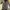 vintage y2k see through blouse photo 1
