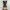 Navy Floral A-Line Dress with Golden Chrysanthemum Print  photo 2