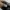 nike air jordan photo 6