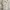 White Multicolor Floral Print Chiffon Midi Dress photo 3