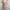 Bohemian Lace Floral Paisley Print Off Shoulder Sabrina Dres photo 5