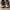 Adidas Sportswear Sneakers Pria gray photo 4