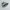 Asics Sonoma SE Black White photo 1