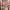 Multicolor Floral Print Smocked Summer Dress  photo 4