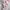Dual Color Floral Print Korean Chiffon Dress photo 3