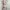 Dual Color Floral Print Korean Chiffon Dress photo 2