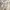Dual Color Asymmetric Midi Korean Chiffon Dress photo 4
