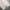Vintage Jeans Pria white photo 6