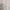 Me Sense Multicolor Cream Floral Print Premium Korean Chiffo photo 4