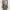 Dark Floral Wrap Dress with Long Sleeves and Ruffle Hem Mood photo 4