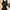 Black Dress | Motif Dua Warna photo 1