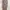 Maison de Roem Purple Floral Long Sleeve Midi Dress Garden P photo 5