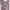 Maison de Roem Purple Floral Long Sleeve Midi Dress Garden P photo 3
