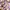 Maison de Roem Purple Floral Long Sleeve Midi Dress Garden P photo 4