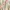 Multicolor Floral Dotted Print Korean Chiffon Midi Dress photo 3