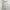 Multicolor Floral Dotted Print Korean Chiffon Midi Dress photo 2