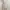 Multicolor Floral Dotted Print Korean Chiffon Midi Dress photo 4