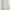 Cream Sheer Floral Print Midi Dress Nightdress Nightwear photo 2