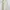 Cream Sheer Floral Print Midi Dress Nightdress Nightwear