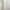 Cream Sheer Floral Print Midi Dress Nightdress Nightwear photo 3