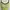 Green Floral Brown Lace Boho Pleated Sundress Spaghetti Stra photo 3