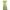 Green Floral Brown Lace Boho Pleated Sundress Spaghetti Stra photo 1