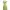 Green Floral Brown Lace Boho Pleated Sundress Spaghetti Stra