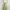 Green Floral Brown Lace Boho Pleated Sundress Spaghetti Stra photo 5