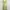 Green Floral Brown Lace Boho Pleated Sundress Spaghetti Stra photo 2
