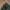 SSUR*PLUS - Woodland Camouflage Bucket hat photo 6