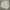 Korduroy baby doll crop lengan balon photo 1
