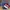 Tommy hilfiger x ARIES semaphore multicolor cap photo 6