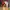 Tommy hilfiger x ARIES semaphore multicolor cap photo 2