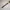 JAM TANK CASIO MQ-364 photo 6