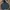 Hoodie Carhartt K121BLK