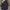 Longcoat Jacket Midas Japanese Brand photo 1