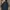 Longcoat Jacket Midas Japanese Brand