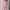 Missie - Selena Kemeja Blose wanita Slim Fit Long Sleeve tal photo 3