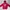 Hoodie Dickies Towel Red