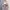 BN883 masih new tag lilac ruffled dress photo 2