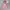 Hoodie Adidas 3 foil shoft pink photo 1