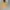 Zipper Hoodie who AU yellow photo 1