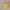 Zipper Hoodie who AU yellow photo 2