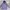Hoodie acover lilac photo 1